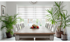 Cream Luxaflex Twist blinds